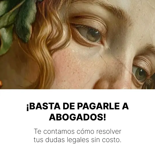 Asesoría inicial SK Soluciones Legales